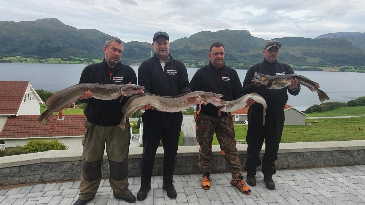 Kvernesfjorden Apartments Steinsgrenda ภายนอก รูปภาพ