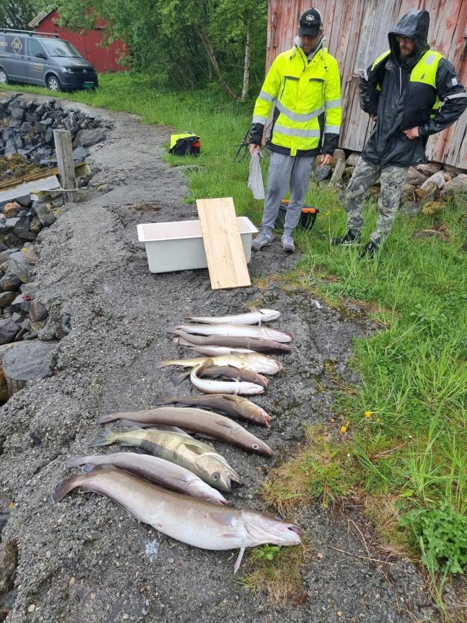 Kvernesfjorden Apartments Steinsgrenda ภายนอก รูปภาพ