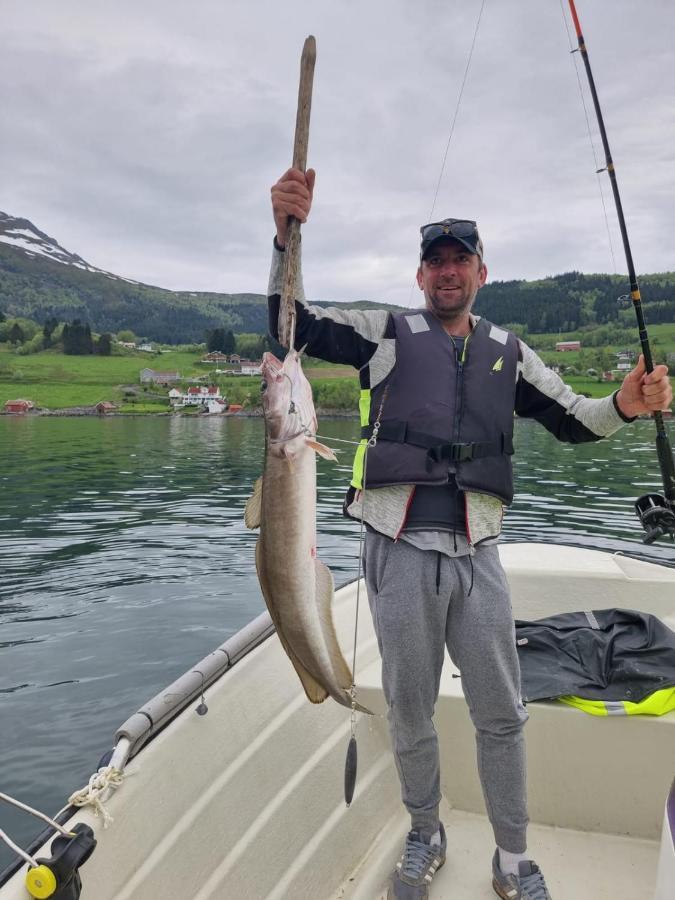 Kvernesfjorden Apartments Steinsgrenda ภายนอก รูปภาพ